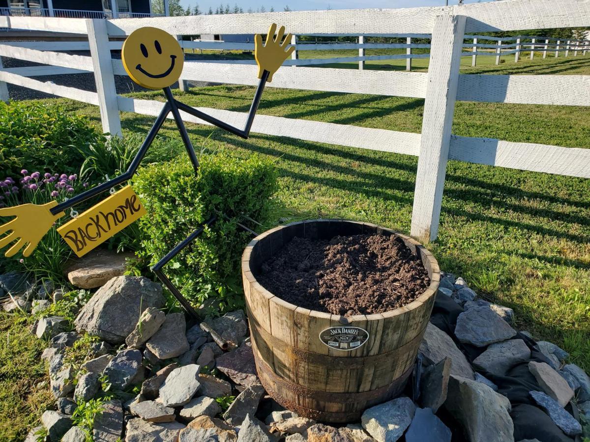Back Home Bed And Breakfast Membertou Eksteriør bilde